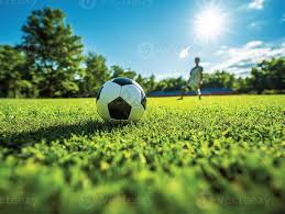 资深球迷使用球探网即时比分场景